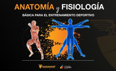 Afiche 1-Anatomía y Fisiología